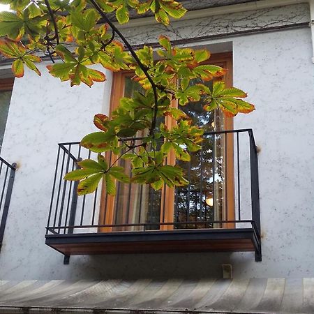 Hotel Gimi Vendeghaz Baja Zewnętrze zdjęcie